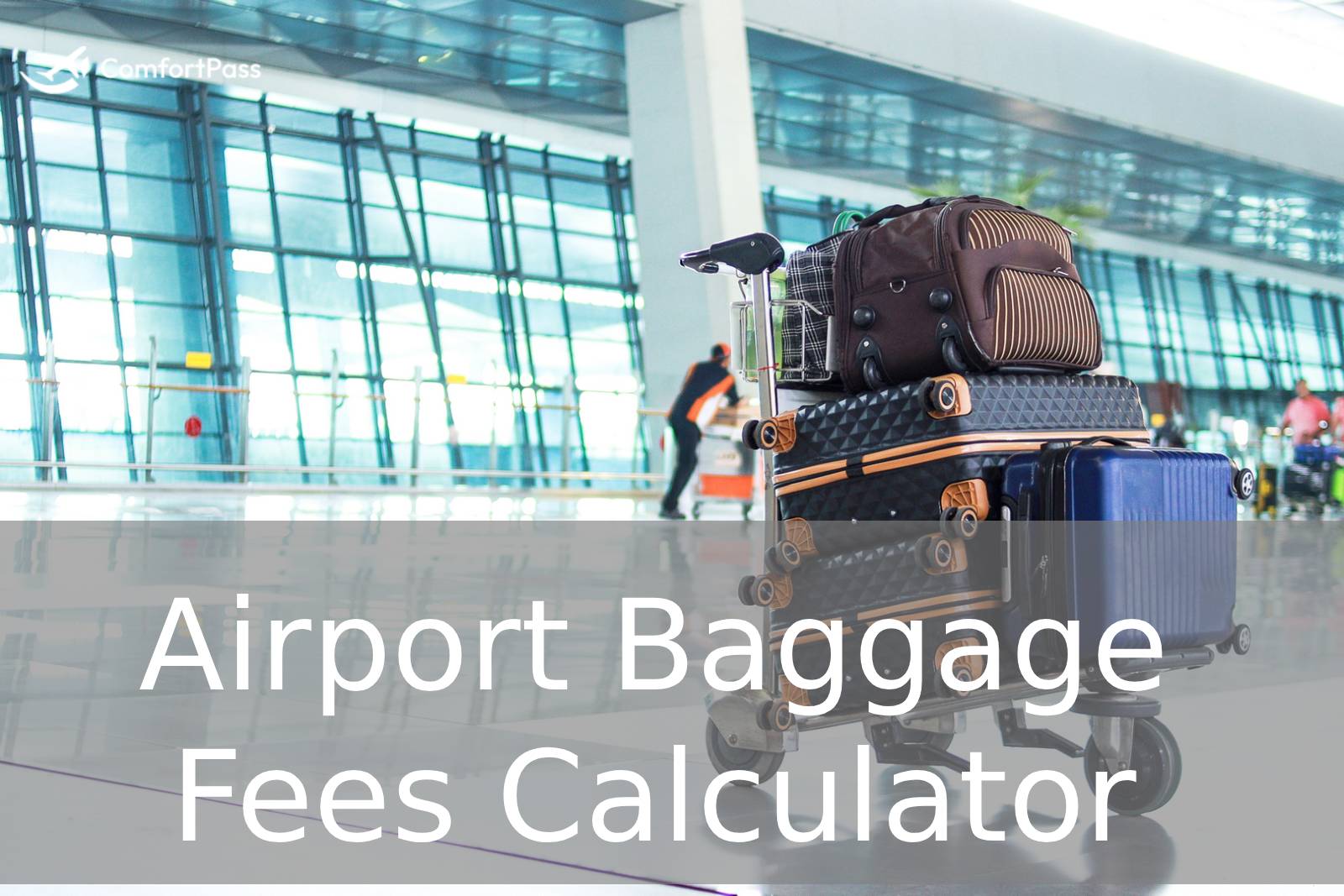 Airport Baggage Fees Calculator Guide