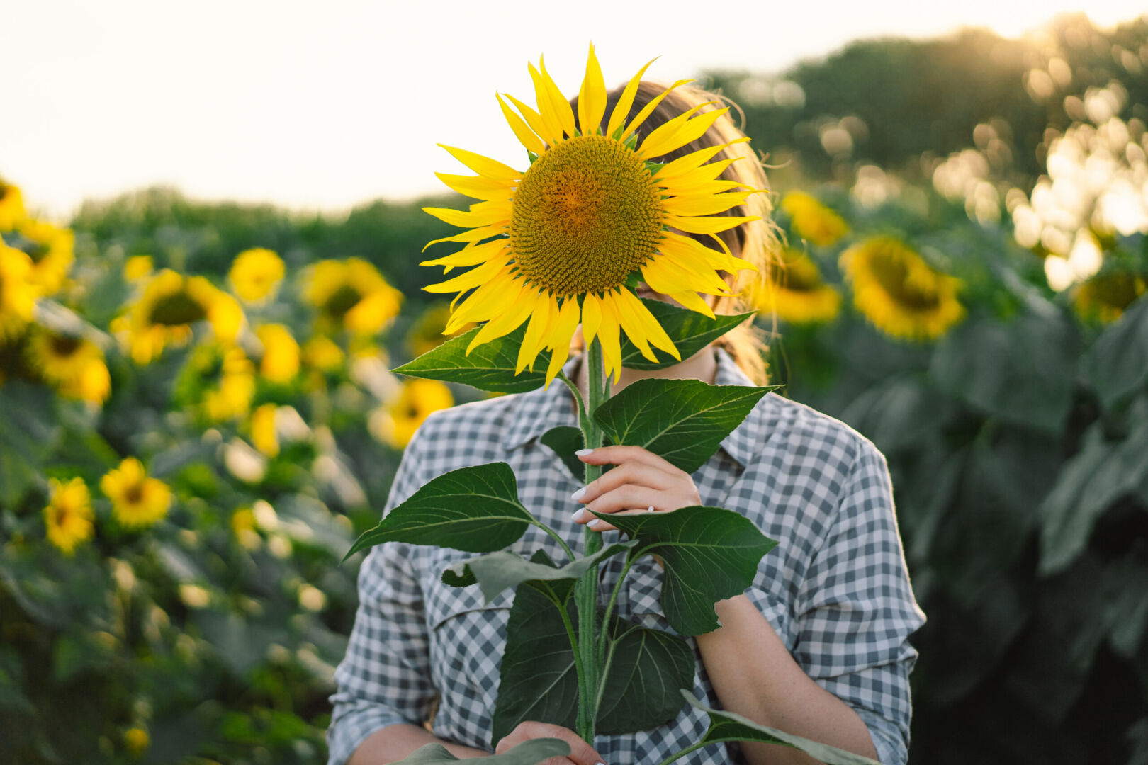 Hidden Disability Sunflower Program: Accessible Airports